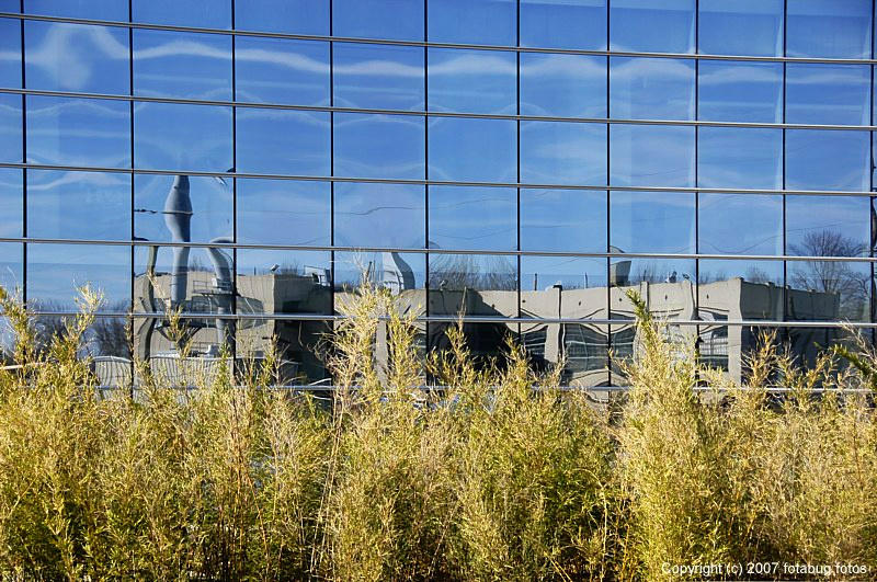 Reflections