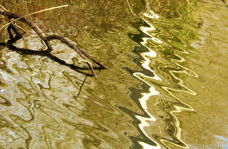 Reflections in Delta Ponds