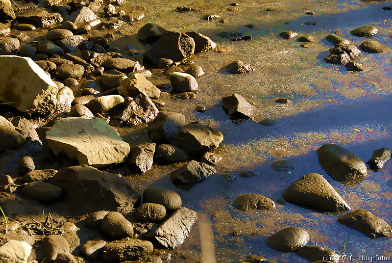 D200-2007-03-16_017.jpg
