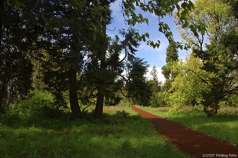 Bright paths ahead