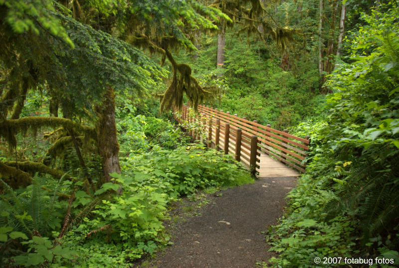 Bridge below the falls