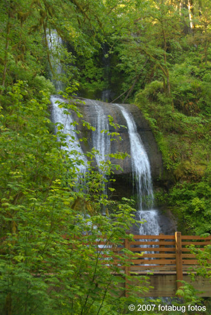 Royal Terrace Falls - another view