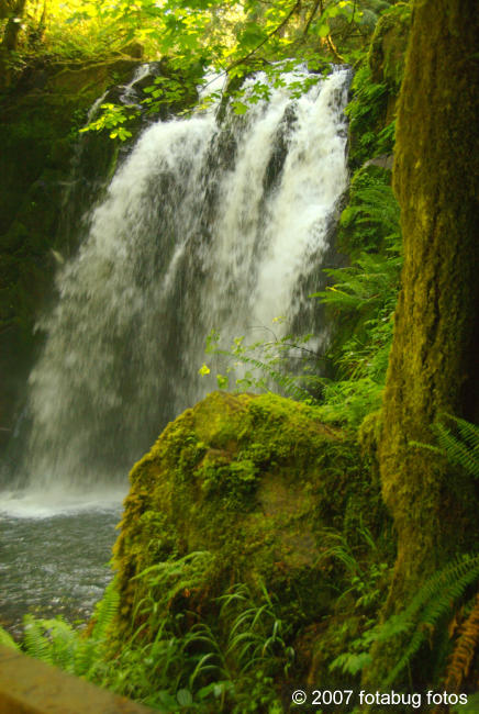 Majestic Falls