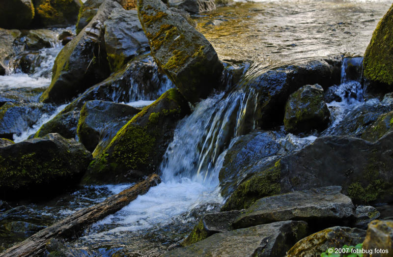 D200-2007-08-03_112.jpg