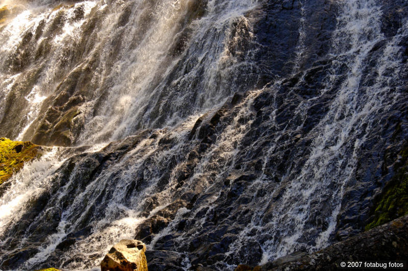 D2x2007-08-03_191.jpg