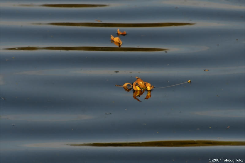 On the surface of the waters