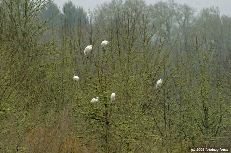 D2x2008-02-08_240.jpg