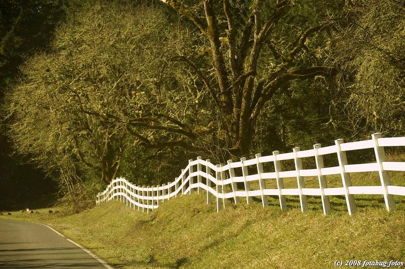 Roller coaster fence