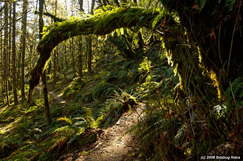 Along the Ridgeline Trail