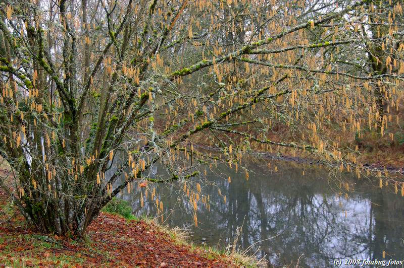 D50-2008-02-25_016.jpg