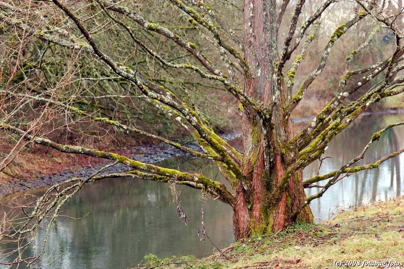 D50-2008-02-25_041.jpg