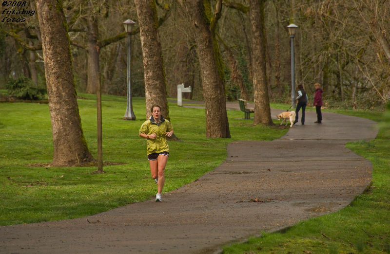D2x2008-03-14_152.jpg