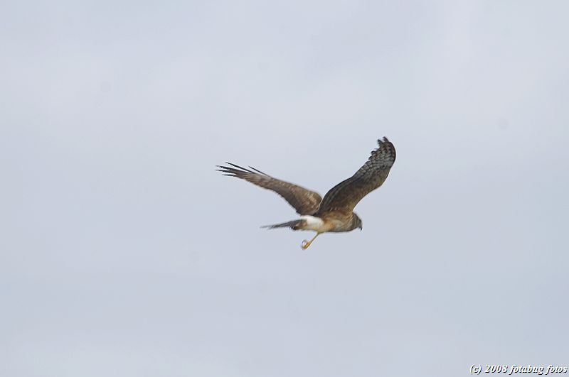 D2x2008-03-21_140