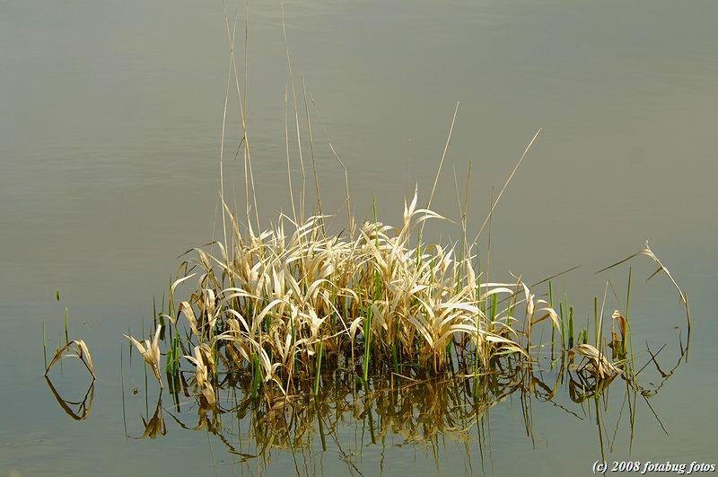 D2x2008-03-21_209