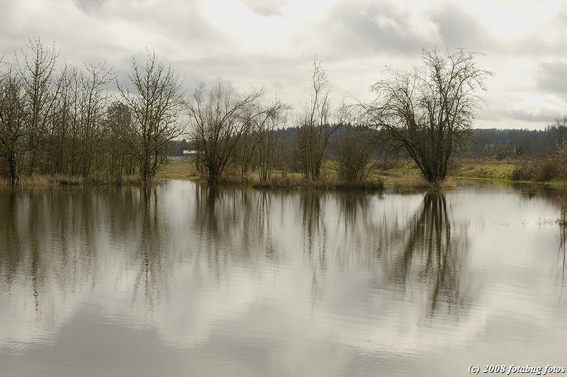 D50-2008-03-21_011