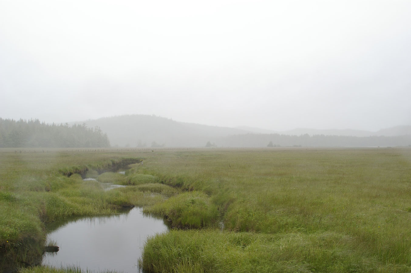Hansen Lagoon - KM 14.7
