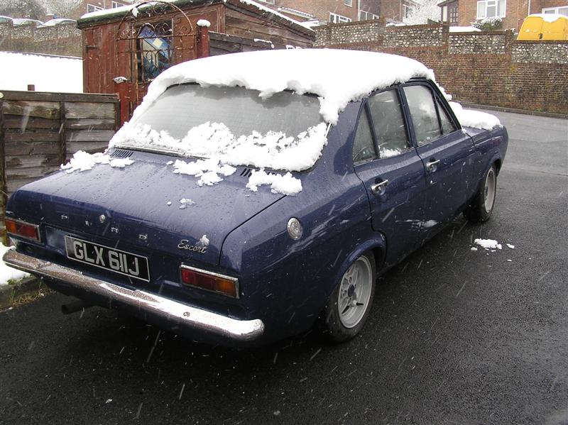 The day we picked her up - snow!