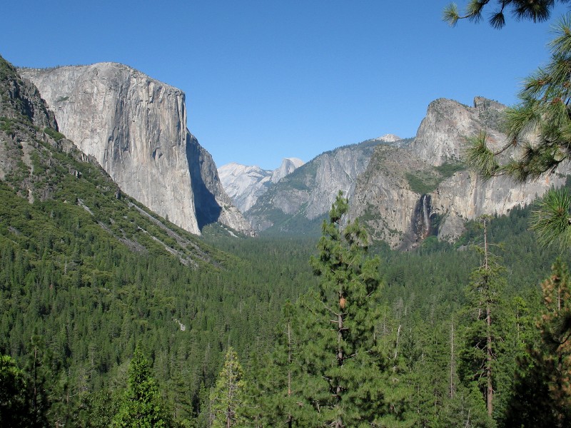The Famous Wawona Tunnel Viewpoint