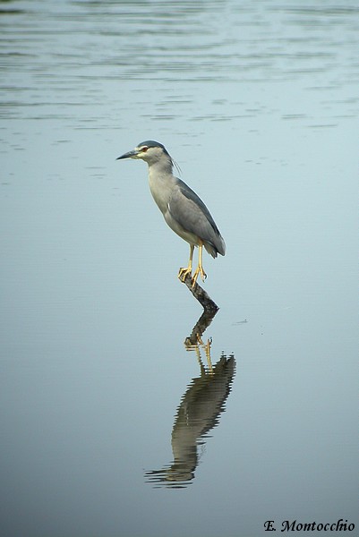 DSCN7452.JPG