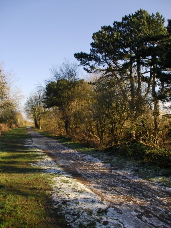 Still snow