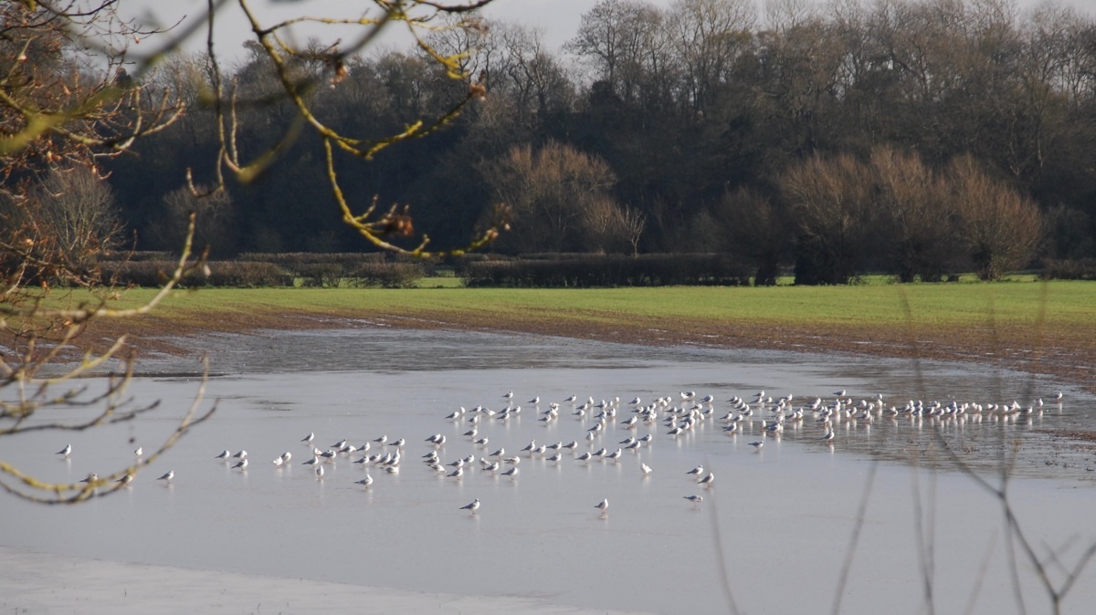 Stratford-upon-Sea