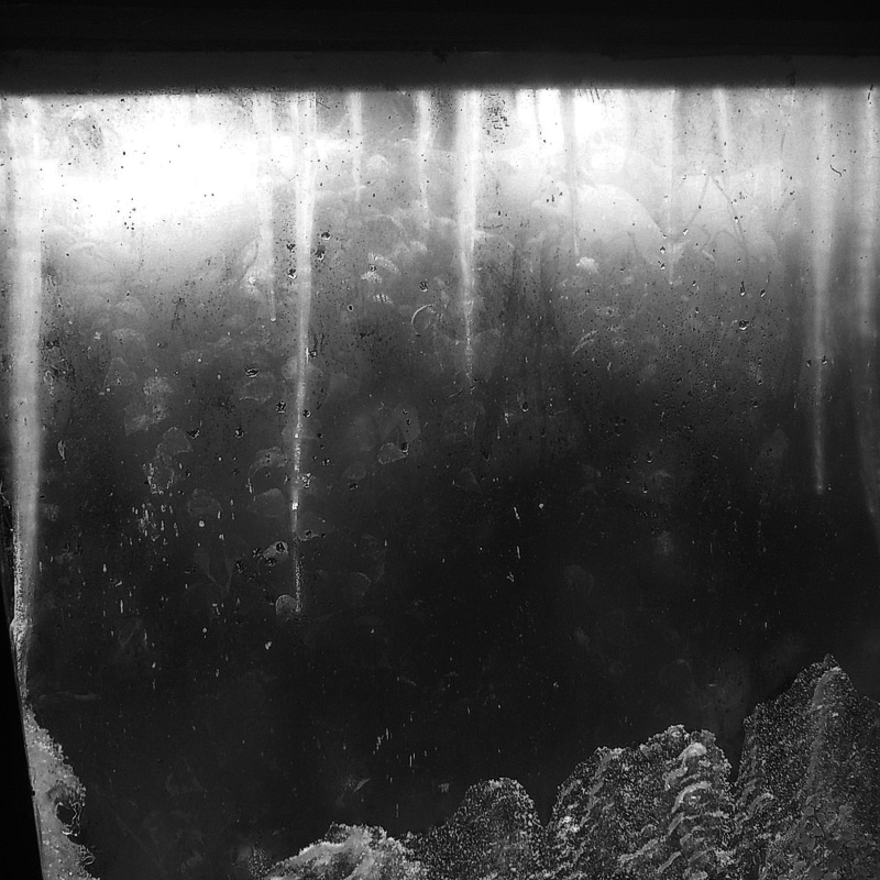 Icicles...