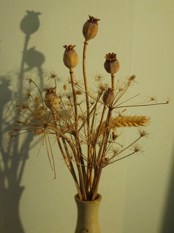 With these vexations.<br>28 January 2013 (487)