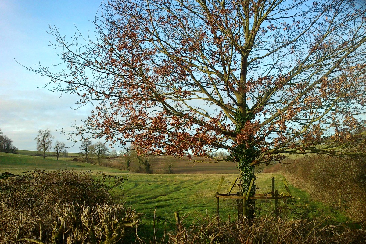 And fling my wanton arms<br>16 February 2013 (502)