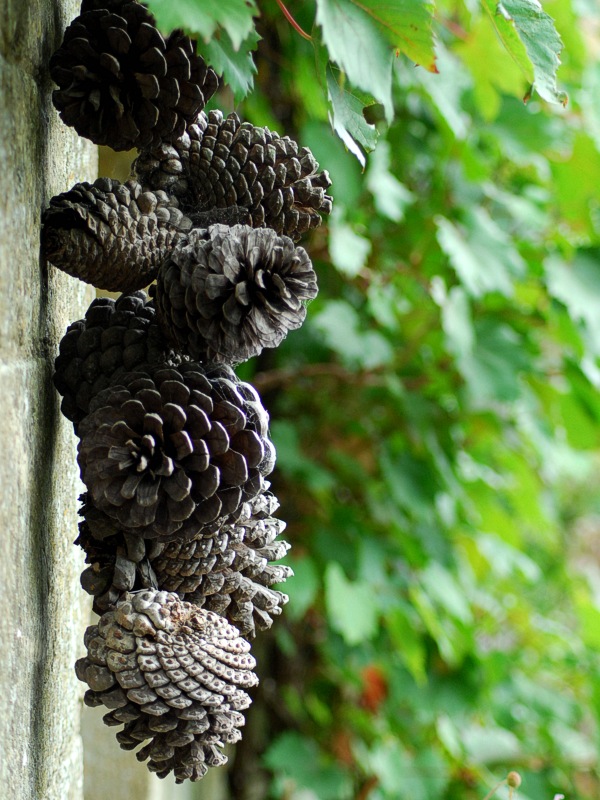 Decoration