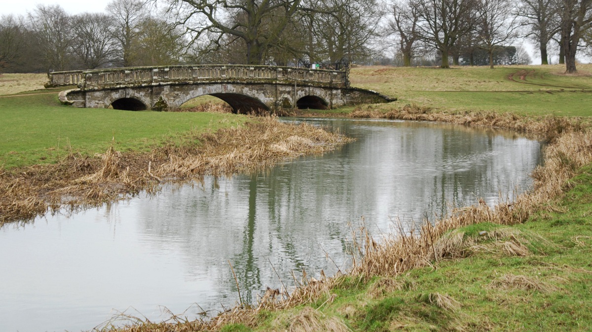 Bridging the gap