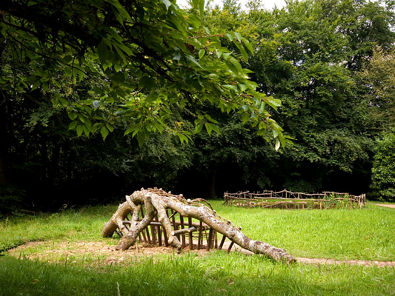 Dinochair...