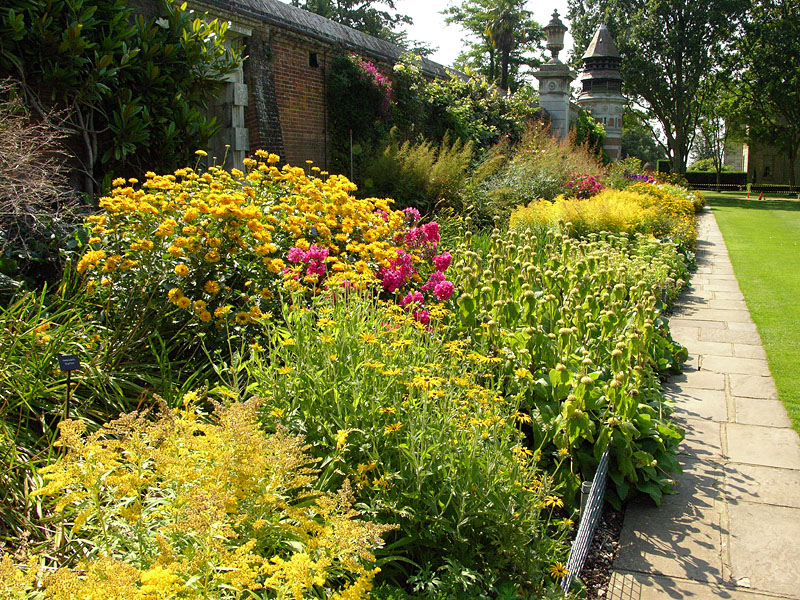 Herbaceous (II)