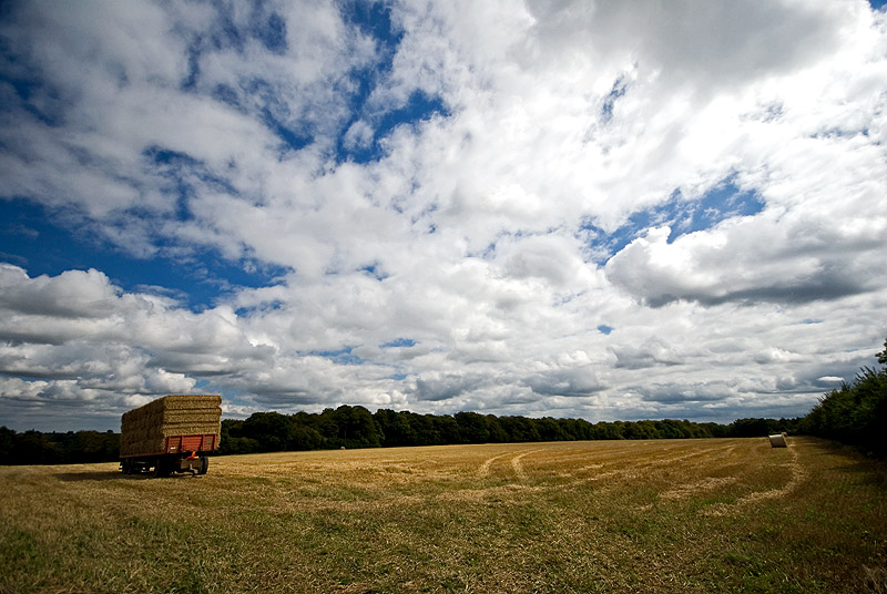 The Haywain...