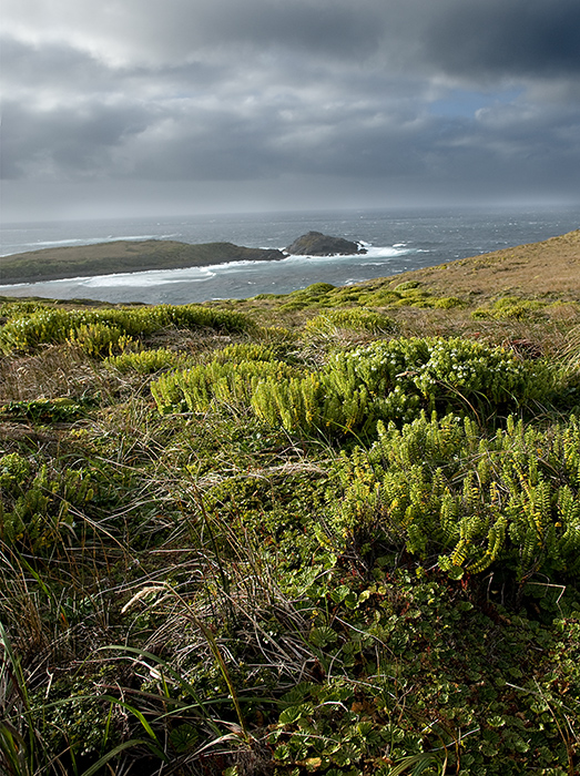 08-01 Cape Horn 02.JPG