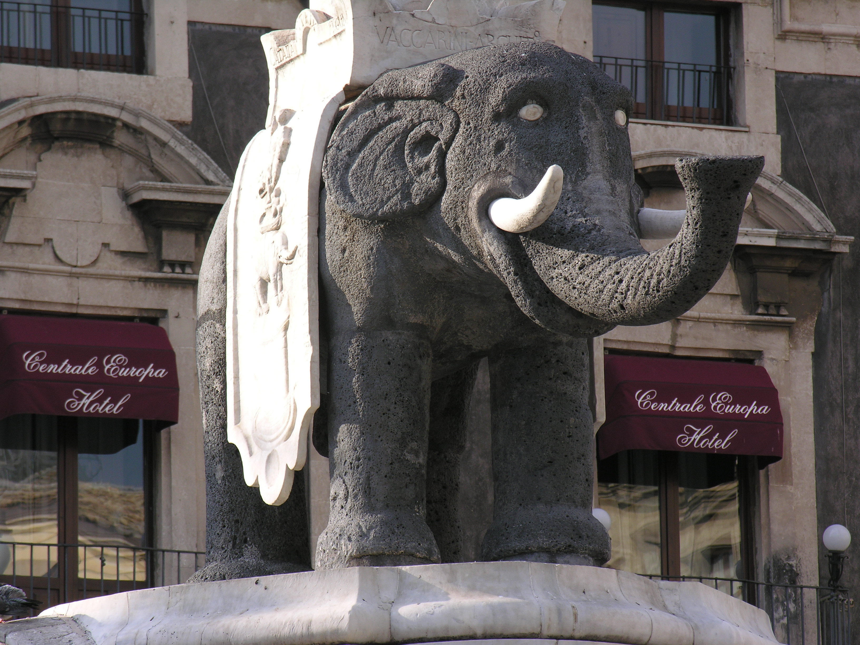 DSCN8001.jpg