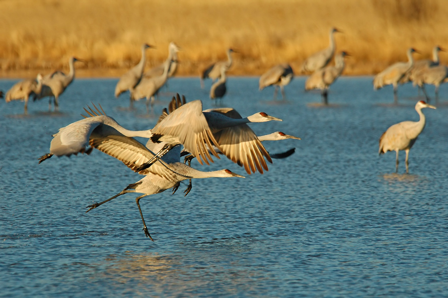 Group Takeoff 3