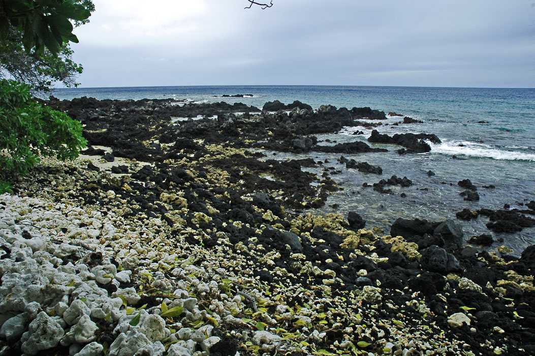 Black and White Stone Beach