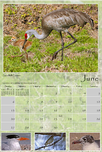 June Images