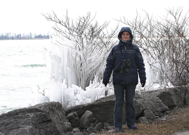 Ice sculpture, Presqu'Ile Park, Ontario