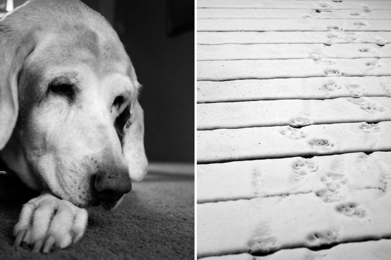 Spice Diptych