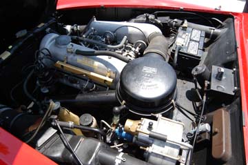 7849a.jpg