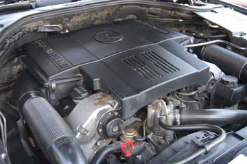 7977a.jpg