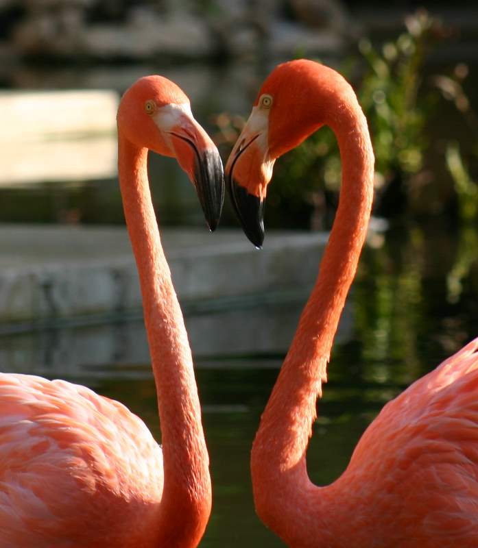 Riviera Maya, Mexico