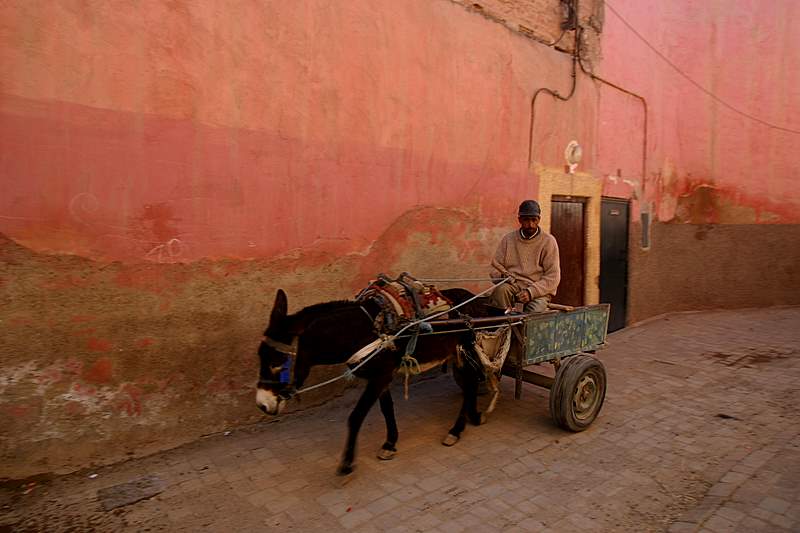 Quiet part of the Marrakech Medina a Man with his Carriage