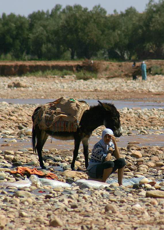 Young Moroccan Girl Washing Clothing