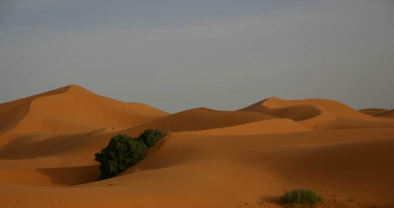 Merzouga with www.cameltrekking.com