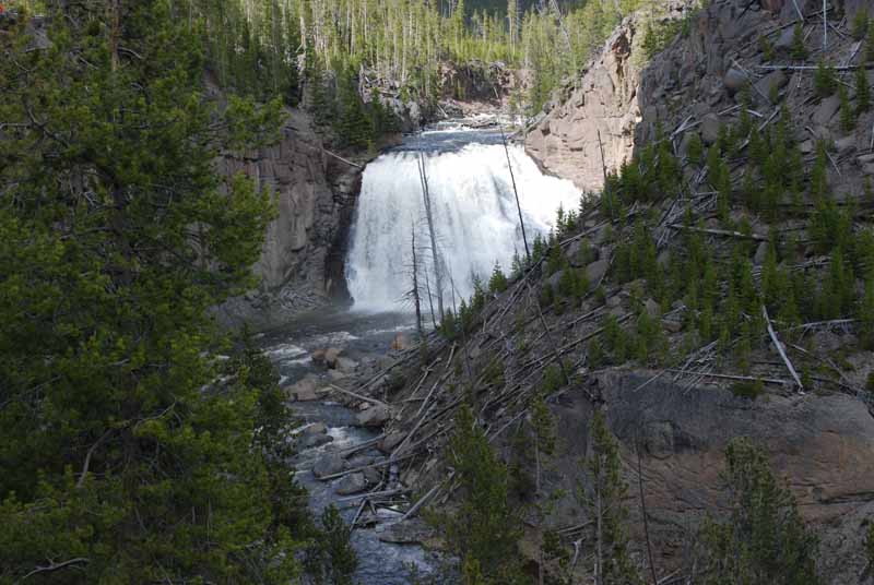 o6/66/861966/1/104074626.tjWCWJhy.YELLOWSTONE08ELKFALLSBISONGEYSERS026.jpg