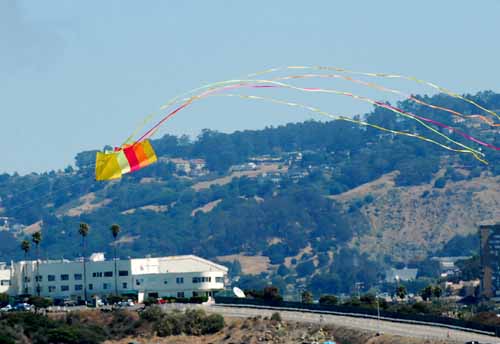 Berkeley Kite Festival