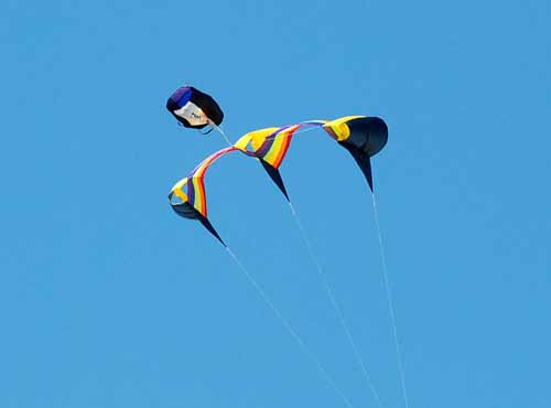 Berkeley Kite Festival