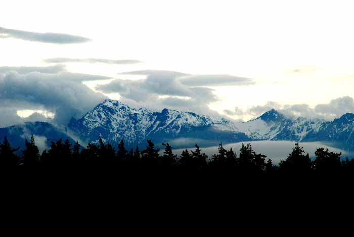 Olympic Peninsula